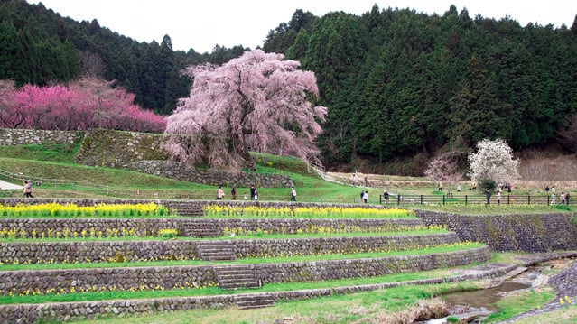 万葉の風情を感じる銘品をぜひ。奈良県宇陀市でおすすめのお土産４選