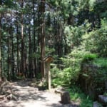 熊野古道・伊勢路の馬越峠