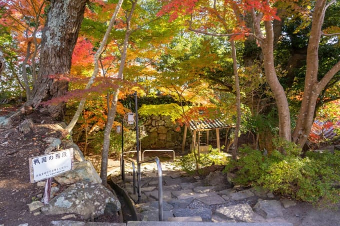 八幡山城跡（近江八幡市）