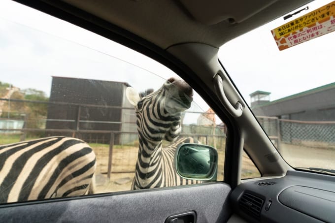 東北サファリパーク
