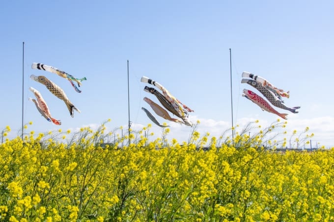 フローラルガーデンよさみ