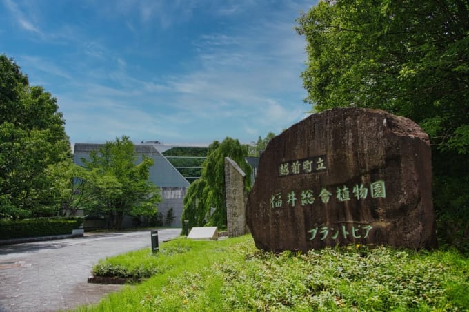 越前町立福井総合植物園 プラントピア