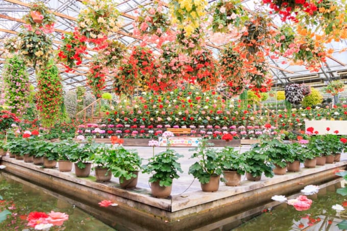 松江フォーゲルパーク（島根県松江市）