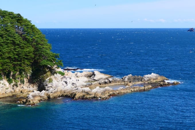 浄土ヶ浜クルーズ