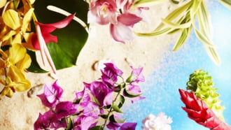 ANAインターコンチネンタル万座ビーチリゾート　フラワープロモーション