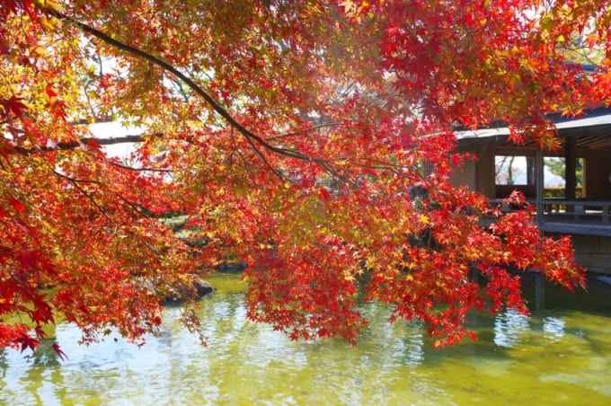 嚮陽庭園の紅葉（西山公園）