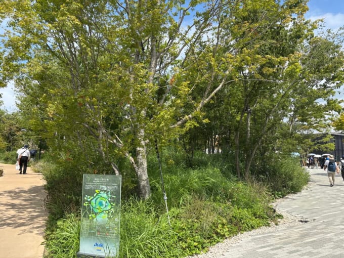 静けさの森（大阪・関西万博）