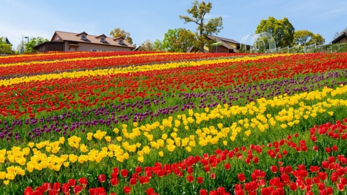 緑のミュージアム ハーベストの丘