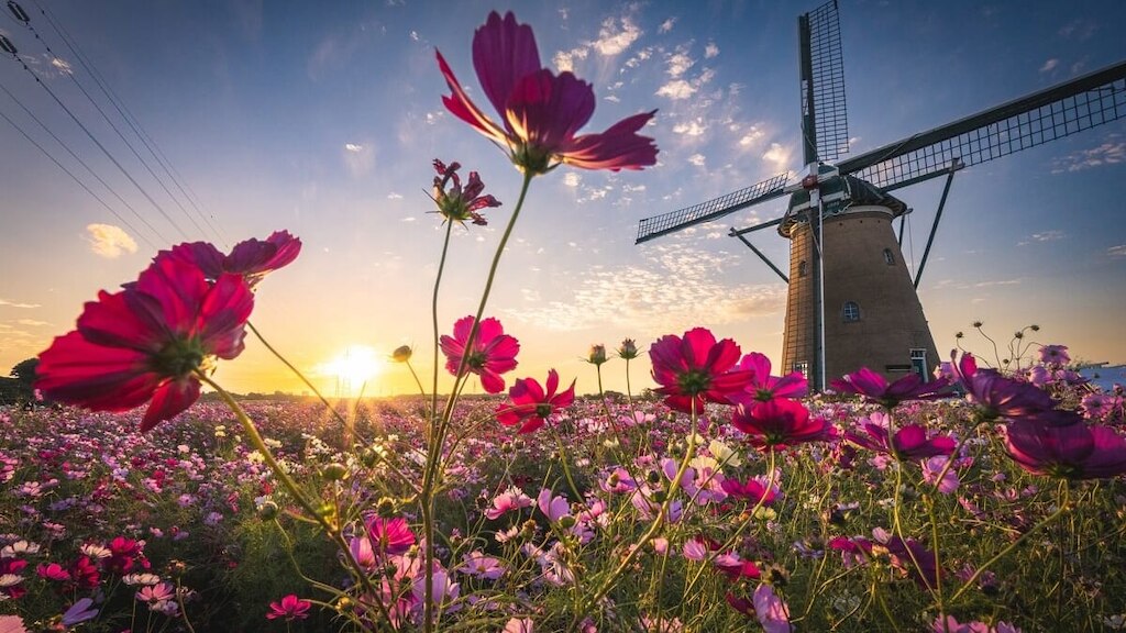 千葉のおすすめ観光スポット54選！人気の名所をご紹介