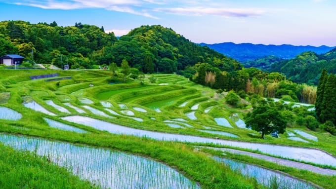 大山千枚田