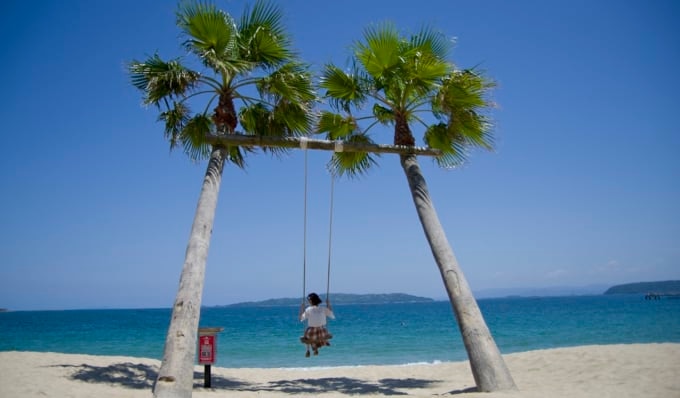 糸島のヤシの木ブランコ