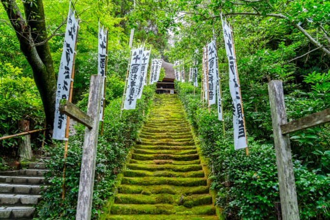 逃げ若 聖地 杉本城跡