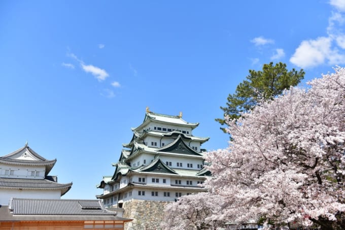 春の名古屋城