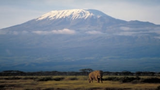 ケニア山国立公園 観光