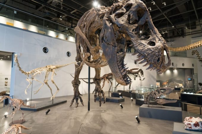 ベネックス恐竜博物館「ティラノサウルス・レックス」（長崎県長崎市）