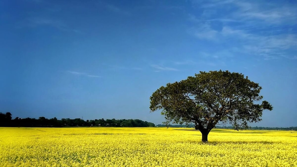 アッサム州で最もクリーンな都市！テズプル観光で自然も満喫する旅を