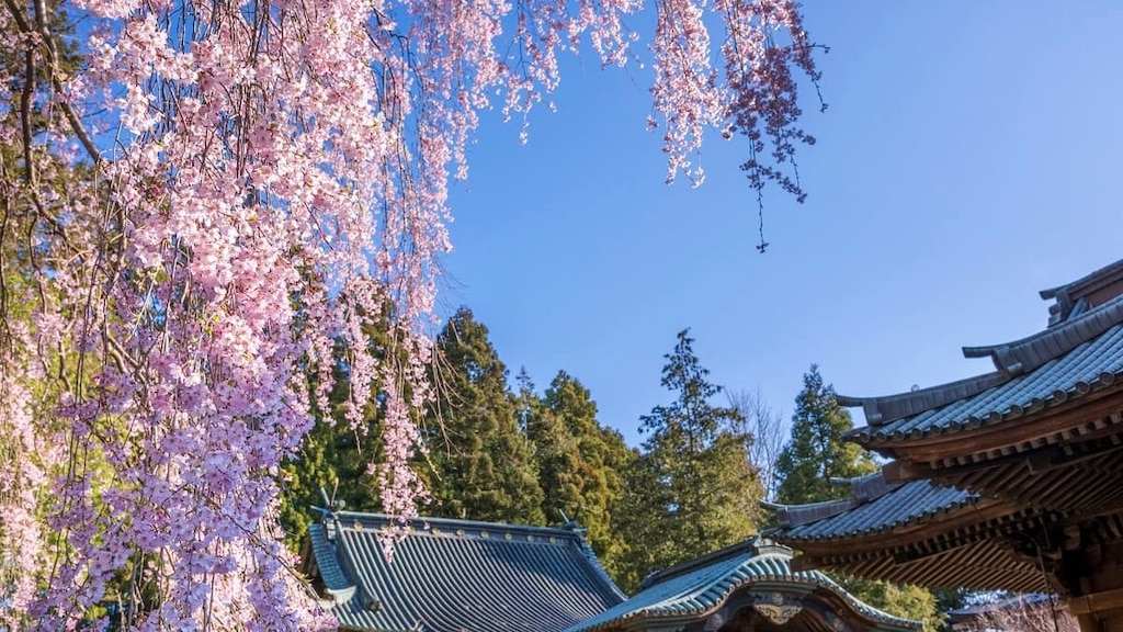 宮城の春に行きたい観光スポット10選｜春一番を楽しむ旅ガイド