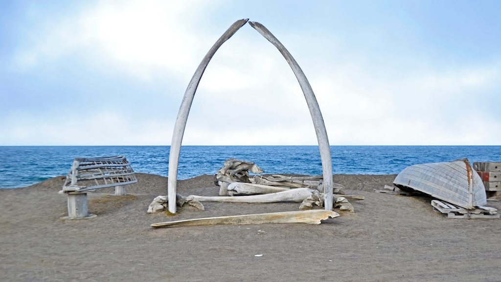 アメリカ最北端！エスキモーの街、ウトキアグヴィク（旧称：バロー）の観光スポット