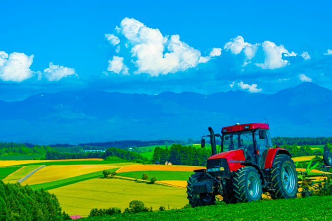 2023年 夏休み どこ行く 美瑛町