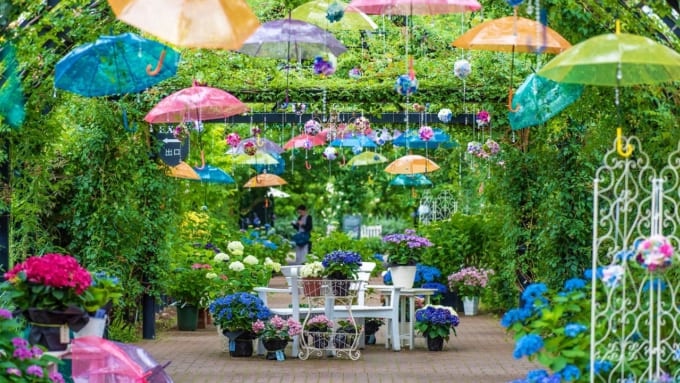 横浜イングリッシュガーデン