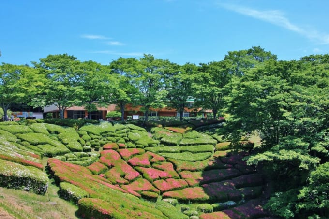宮城郡利府町　県民の森