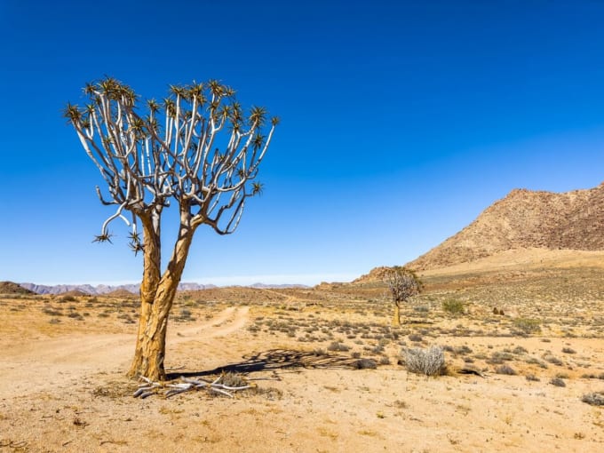 リフタスフェルトの 文化的・植物的景観（南アフリカ世界遺産）