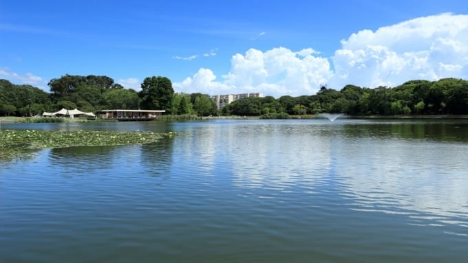 大阪市立 長居植物園の池