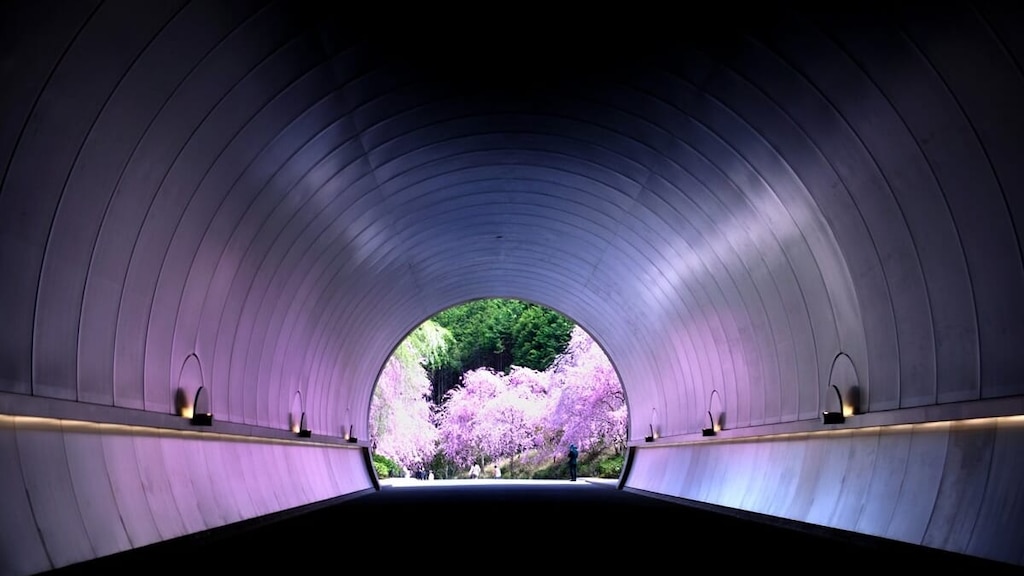 甲賀市の多彩な観光スポット6選｜自然と芸術の忍者の街