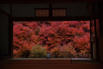 但馬安国寺 紅葉