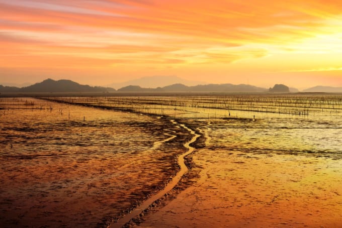 韓国の干潟【韓国の世界遺産】