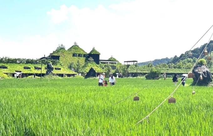 ラ コリーナ近江八幡（滋賀県）
