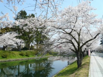 新庄城址（最上公園）
