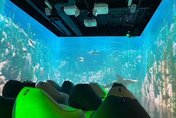 新日本海フェリー「けやき」スクリーンルーム