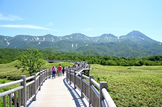 知床五湖「高架木道」