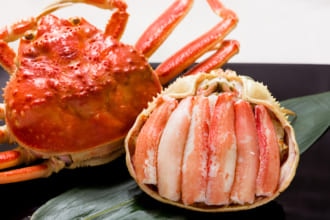 福井 カニ おすすめ ズワイガニ　4