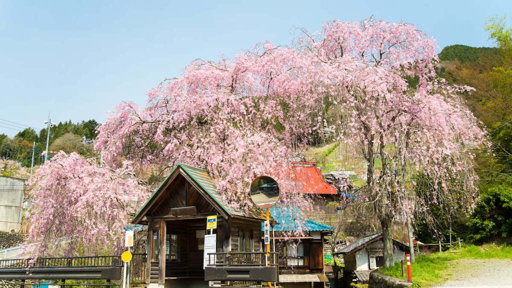 東京都檜原村のおすすめ観光スポットは？温泉もある東京本土唯一の村