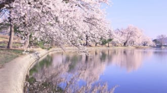 徳良湖（尾花沢市）