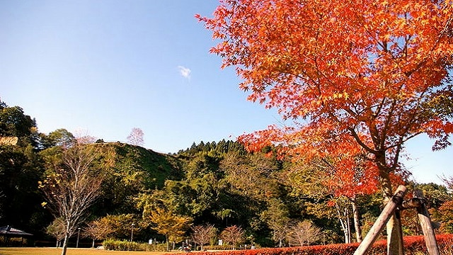 宮城県大崎市のおすすめ観光スポット5選！自然豊かな名所が盛りだくさん！