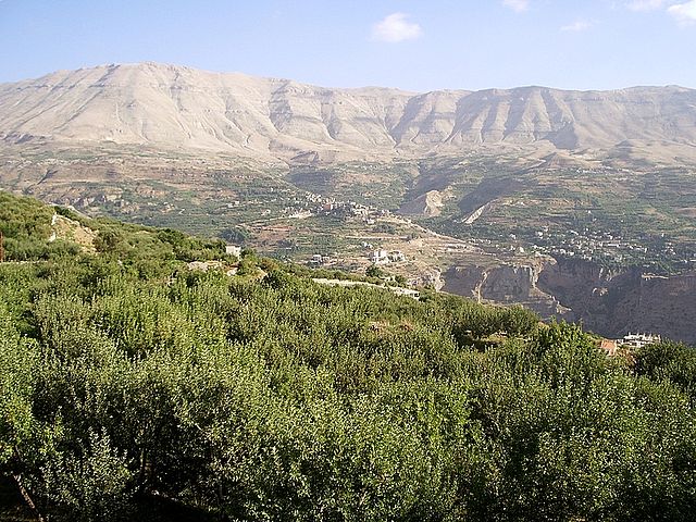 レバノン杉が生息する絶景、世界遺産カディーシャ渓谷と神のスギの森