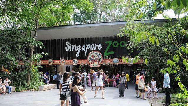 絶対行かなきゃ！シンガポール動物園、ナイトサファリ、リバーサファリ!