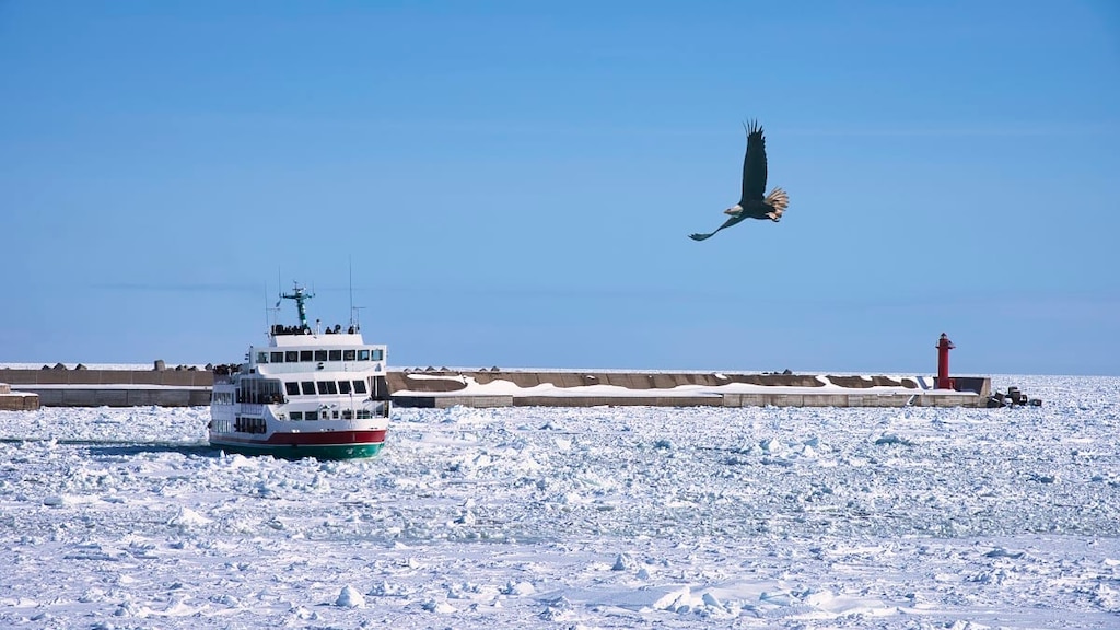 流氷を見る！知る！触る！網走でオススメの観光スポット5選