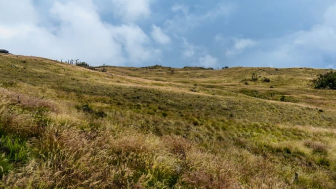 パプアニューギニア