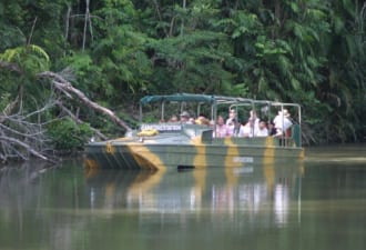 キュランダ･レインフォレステーション｜ケアンズの熱帯雨林を探検＆体験