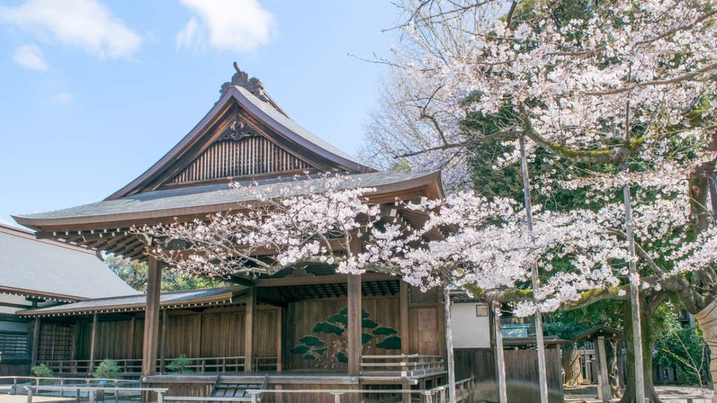 【東京】桜が綺麗な神社はどこ？｜アクセス方法もご紹介