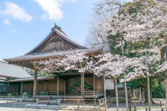 桜が綺麗な神社 東京