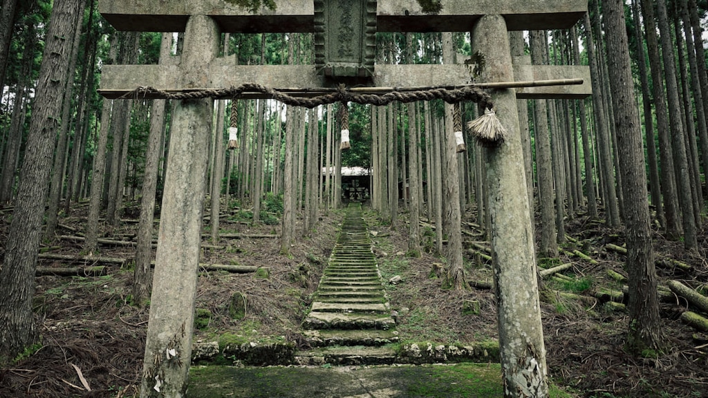 【京都】賀茂神社(京北)の観光情報