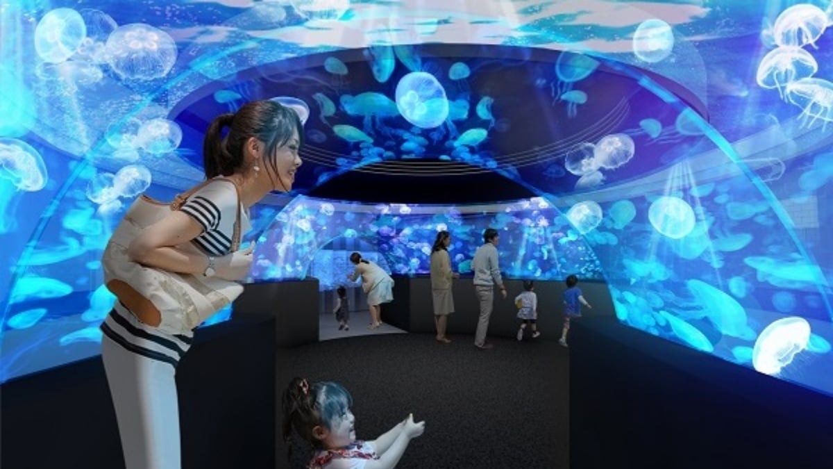 京都水族館 のクラゲ新展示エリア クラゲワンダー を年4月29日に公開決定 Skyticket 観光ガイド