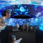 京都水族館のパノラマ水槽「GURURI」