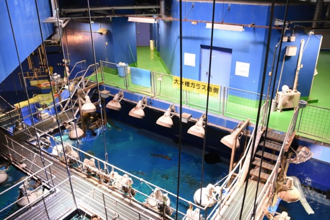 アクアワールド茨城県大洗水族館