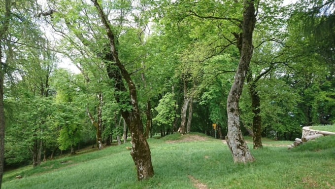 サン・ジョルジョ山のトレイル